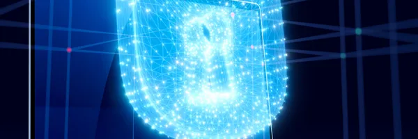 img of Navigating Securely and Privately on Needyu